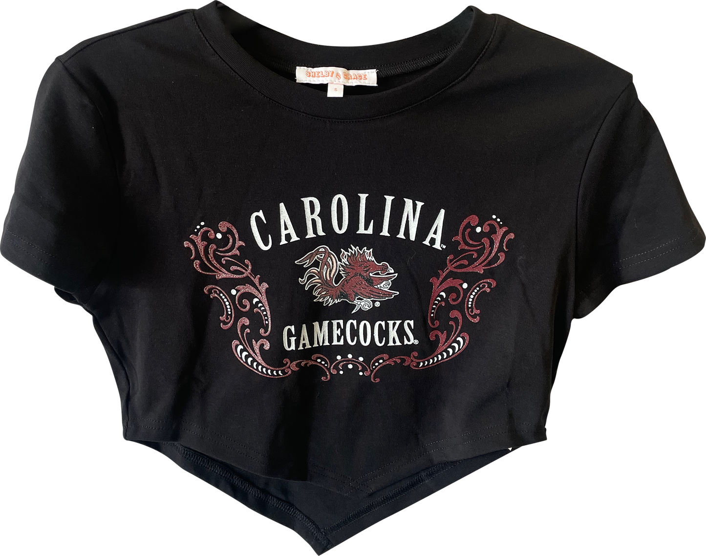 South Carolina Gamecocks Astro Crop Tee