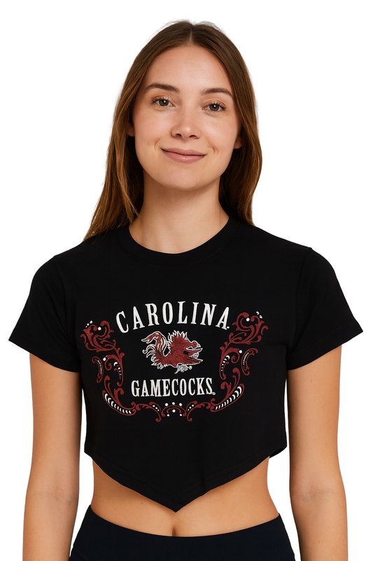 South Carolina Gamecocks Astro Crop Tee